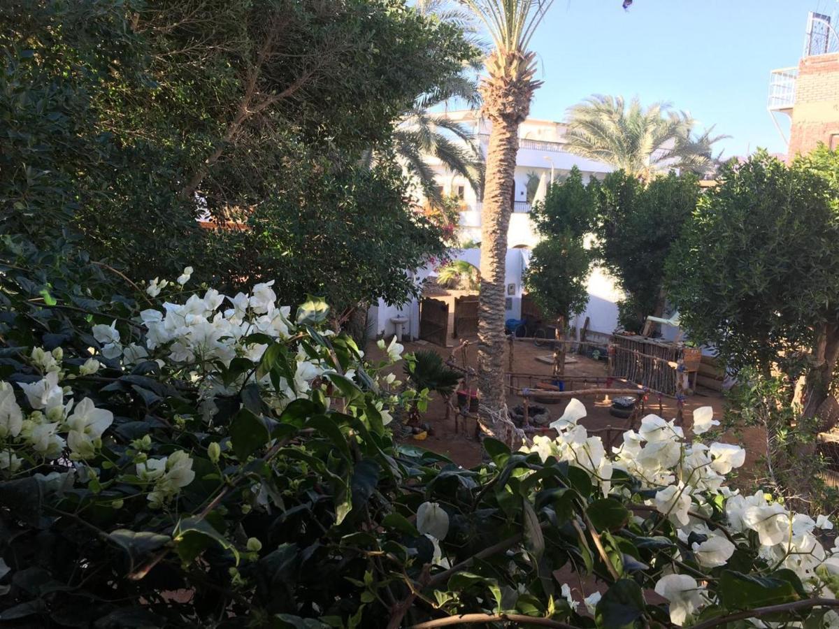 Sunrise Dahab Lodge מראה חיצוני תמונה