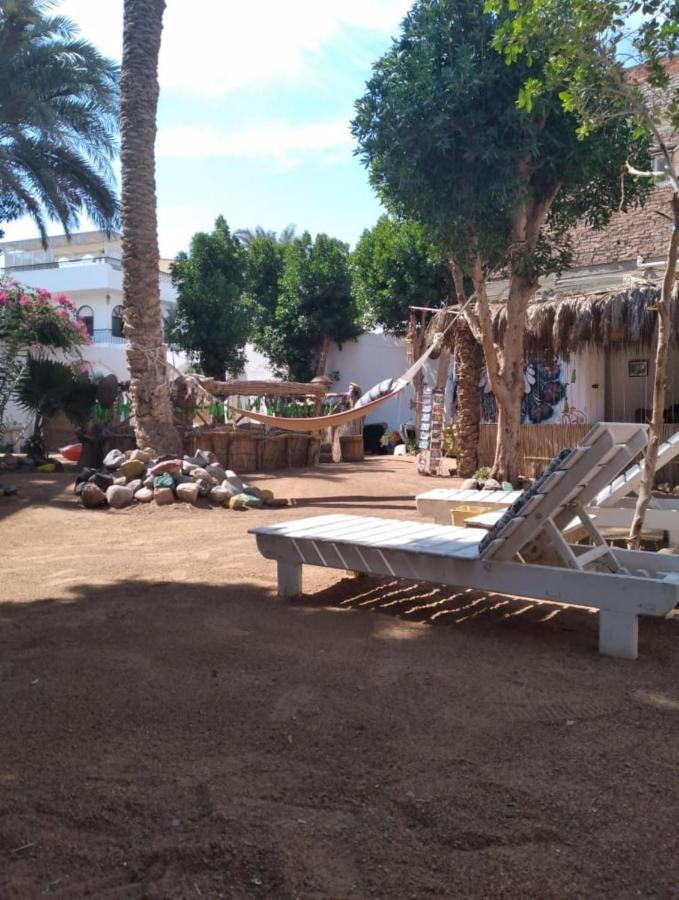 Sunrise Dahab Lodge מראה חיצוני תמונה