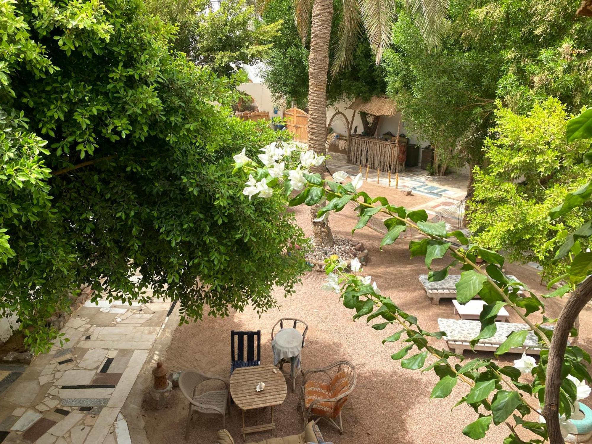 Sunrise Dahab Lodge מראה חיצוני תמונה