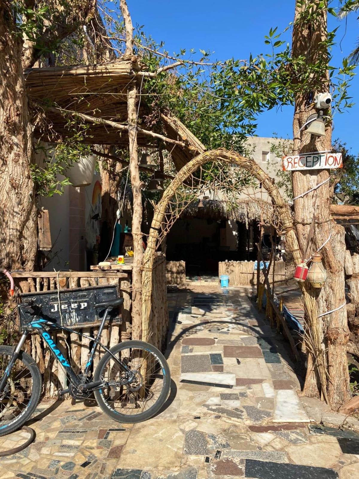 Sunrise Dahab Lodge מראה חיצוני תמונה